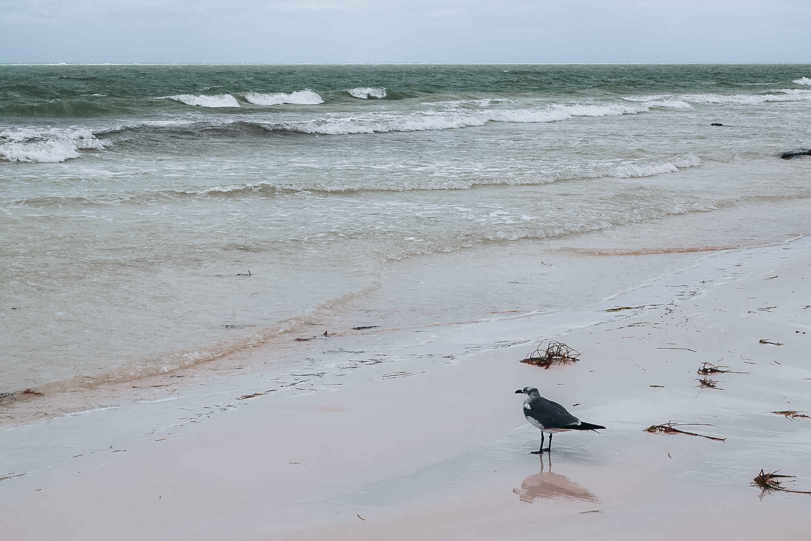 Image 19