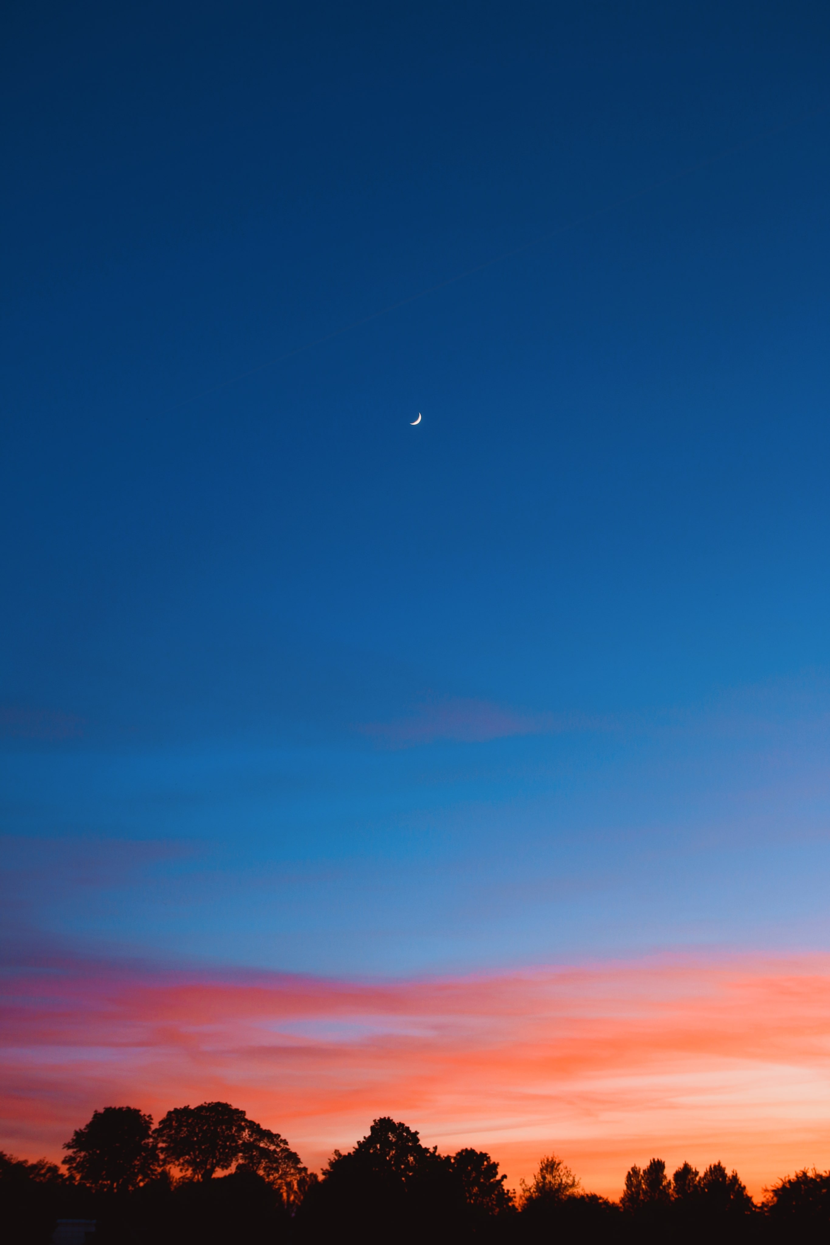 Image 37